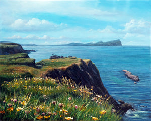 Buttercups and clover Dingle Bay