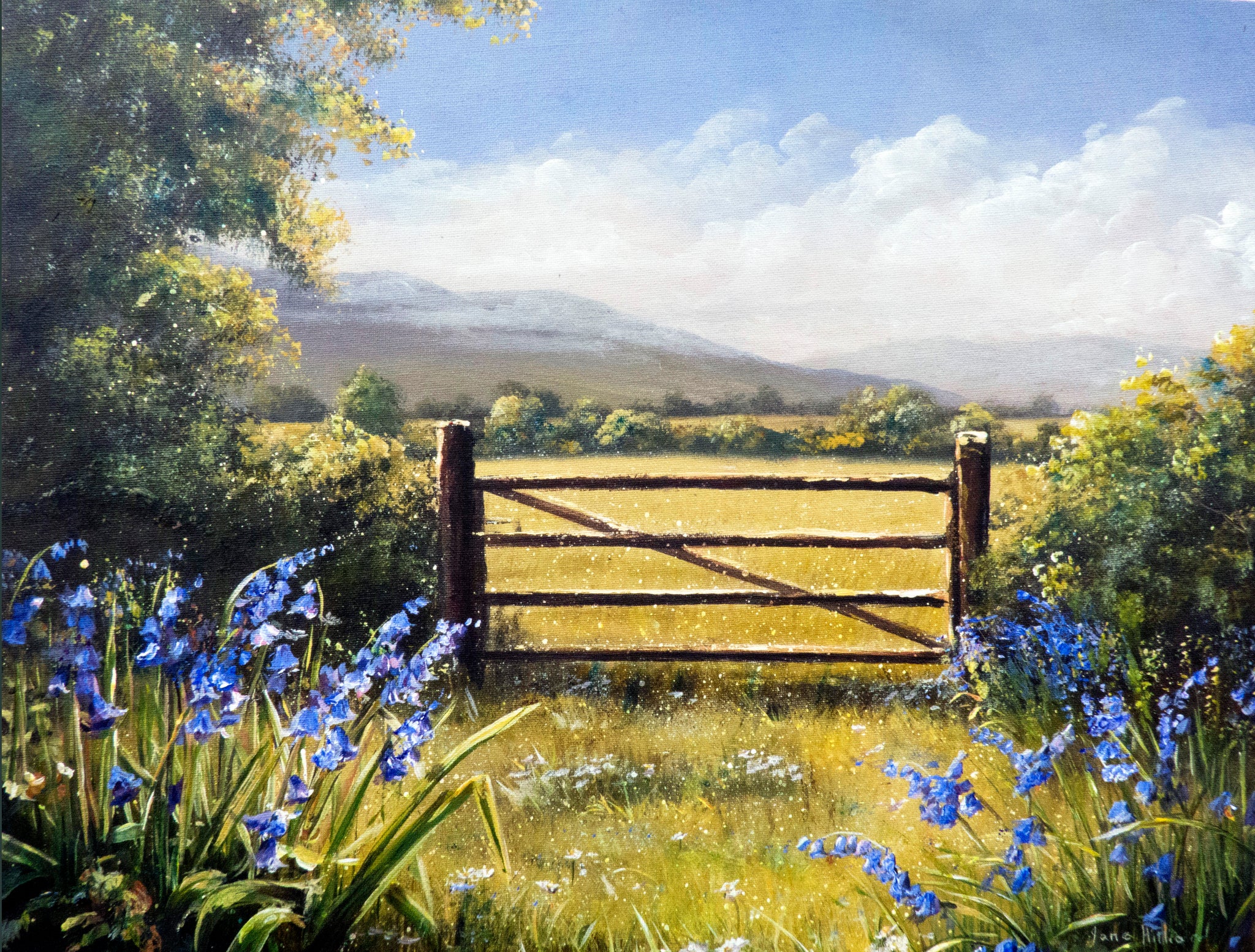 The Meadow