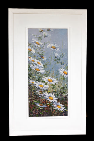 Wild Daisies